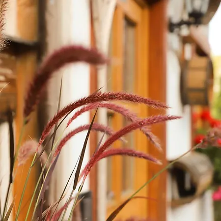 Auszeit Donaueschingen