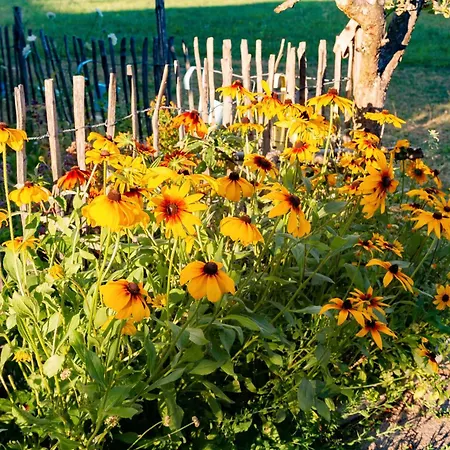 Holiday home Auszeit Donaueschingen
