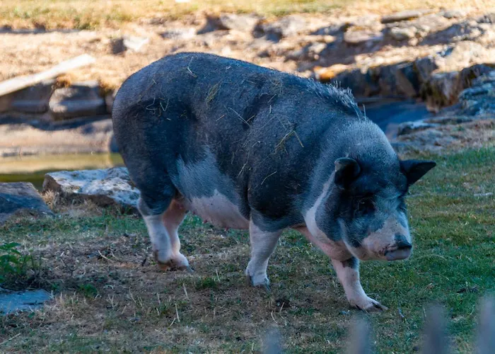 Auszeit Donaueschingen